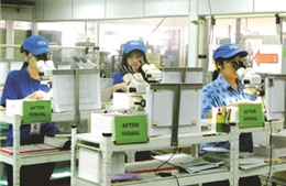 Việt Nam và Hàn Quốc ký lại chương trình tiếp nhận lao động